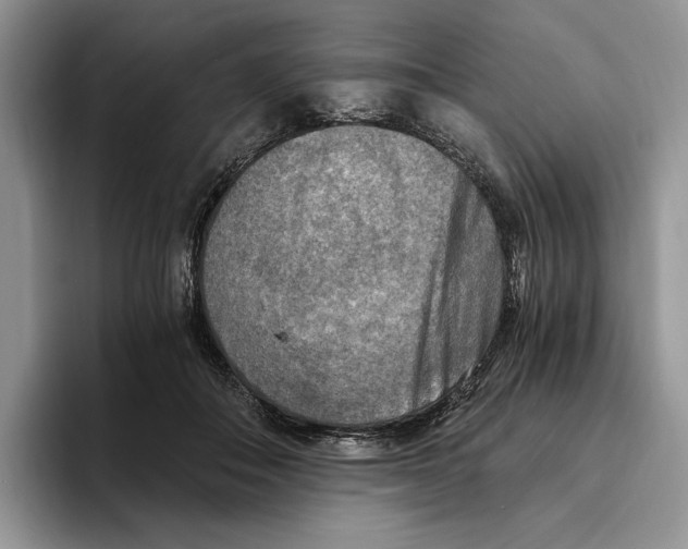 X0000096220506200802151525