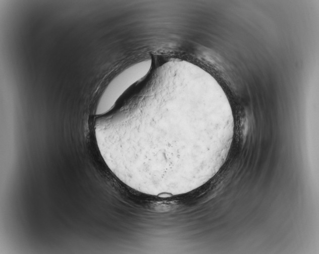 X0000096220508200802151525