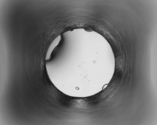 X0000096220509200802151525