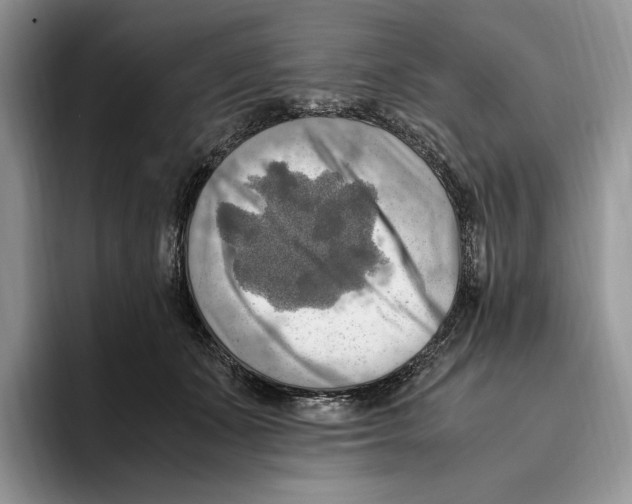 X0000096220511200802151525