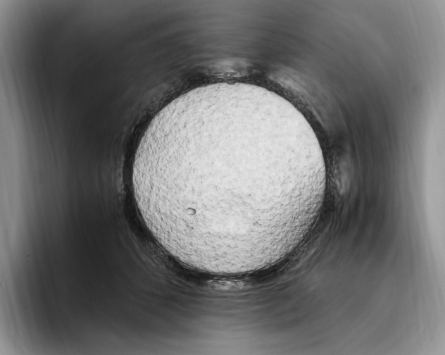 X0000096220512200802151525