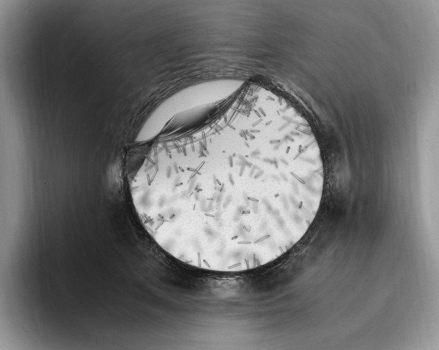 X0000096220513200802151525