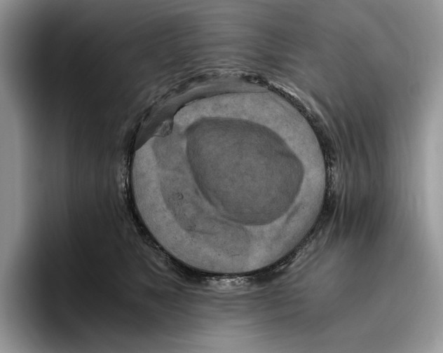 X0000096220517200802151525