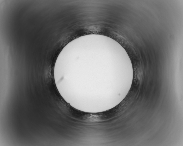 X0000096220518200802151525