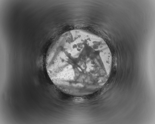 X0000096220519200802151524