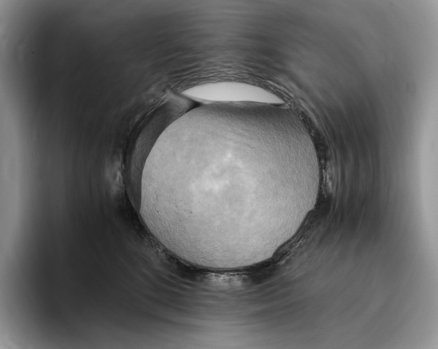 X0000096220520200802151524