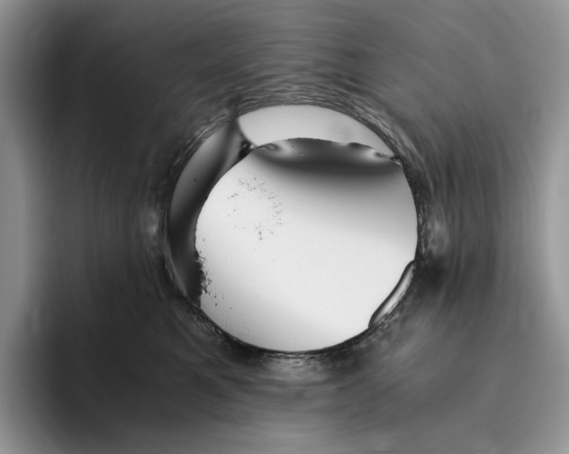 X0000096220521200802151524