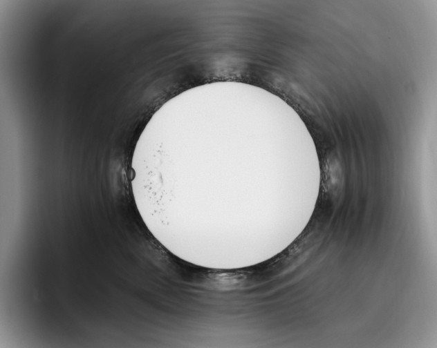 X0000096220522200802151524