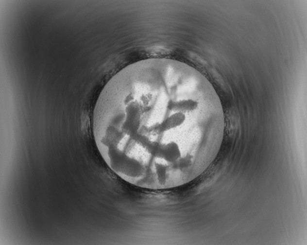 X0000096220523200802151524