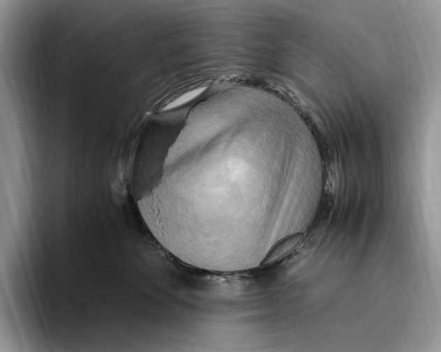 X0000096220524200802151524