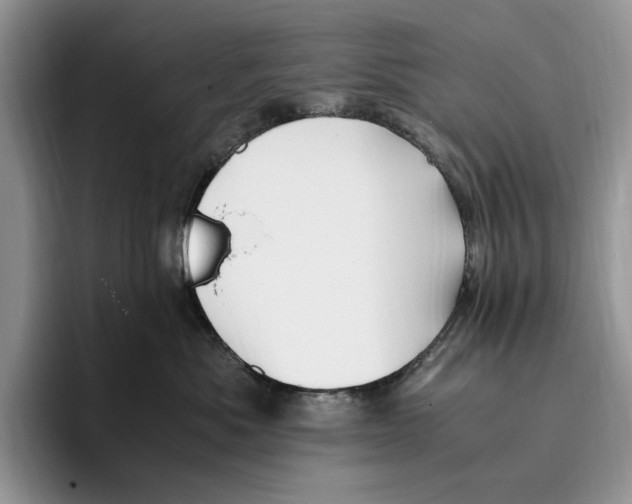 X0000096220525200802151524