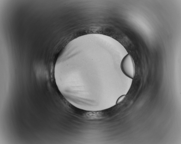 X0000096220526200802151524