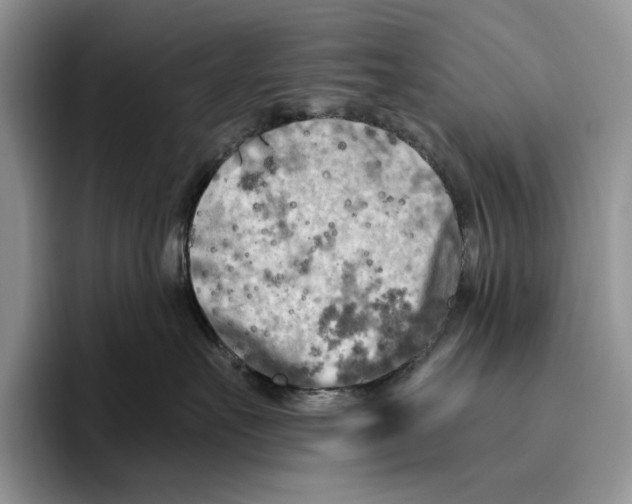 X0000096220527200802151524