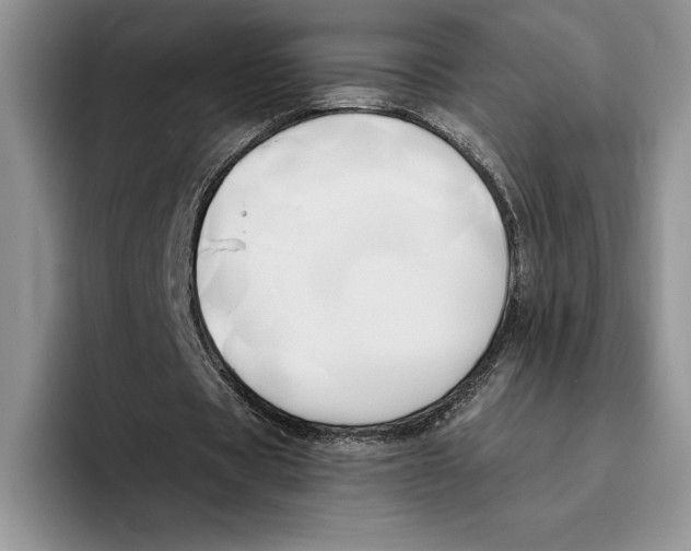 X0000096220529200802151524