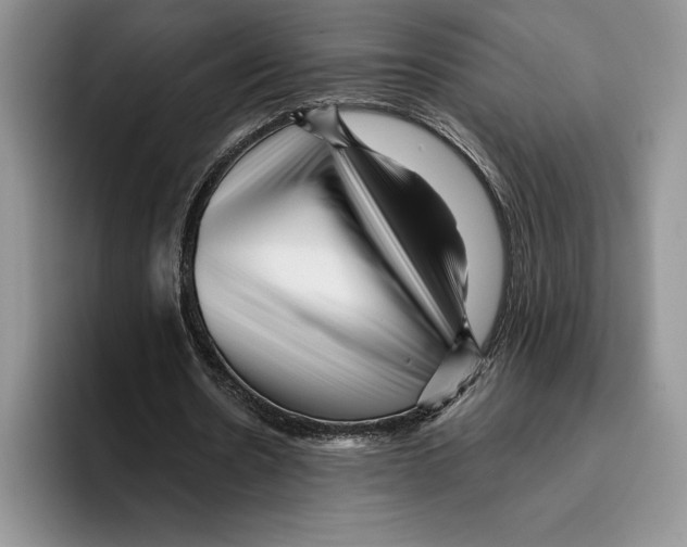 X0000096220530200802151524