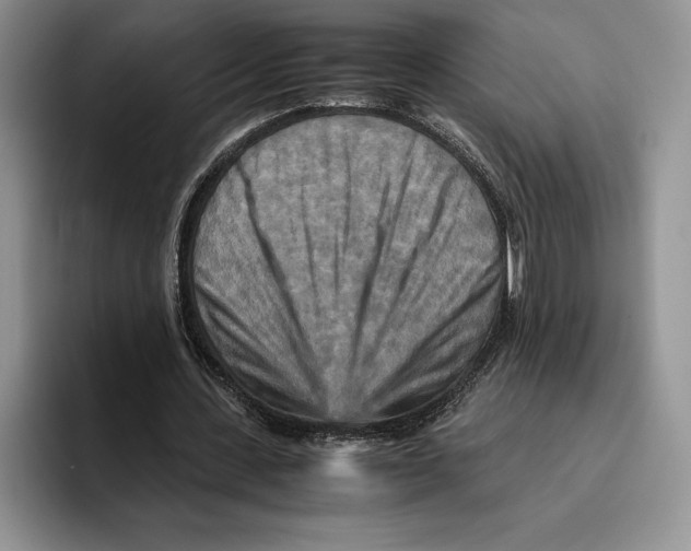 X0000096220531200802151524