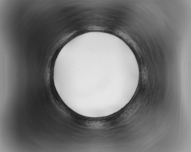 X0000096220533200802151524