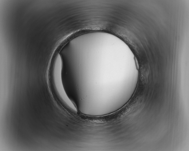 X0000096220536200802151524