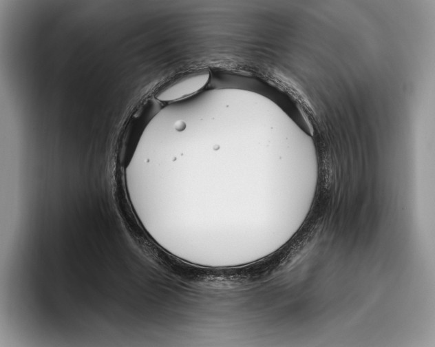 X0000096220538200802151524