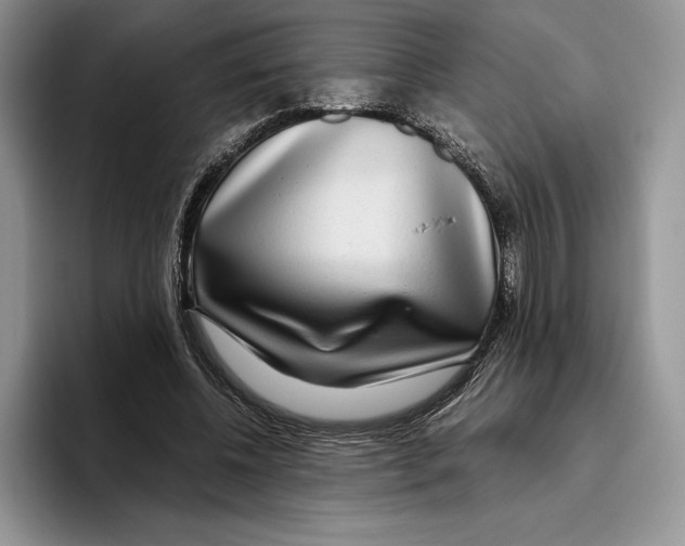 X0000096220540200802151524