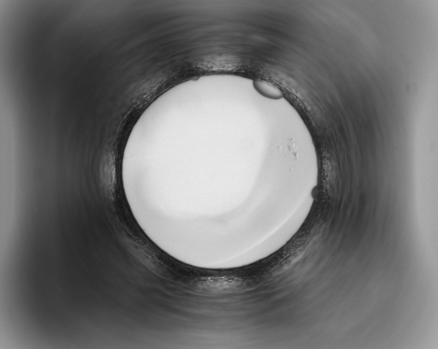 X0000096220541200802151524