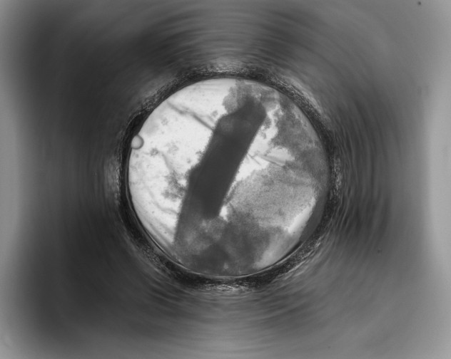 X0000096220542200802151524