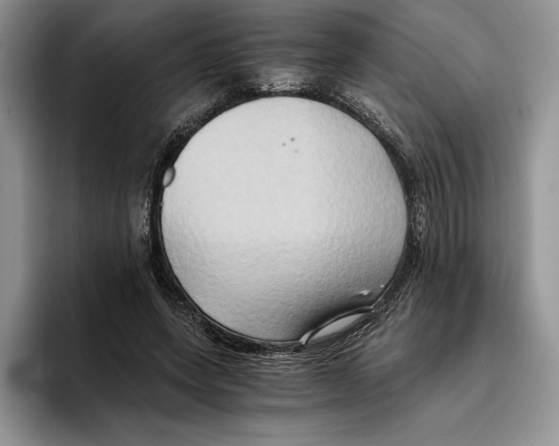 X0000096220543200802151524