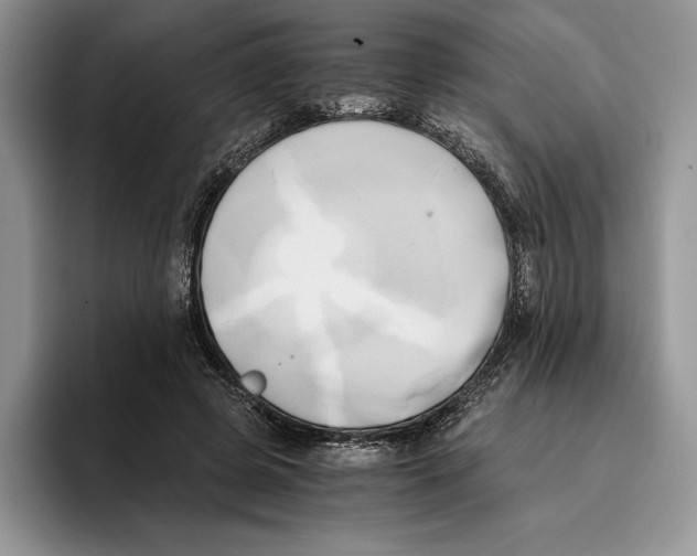 X0000096220545200802151524