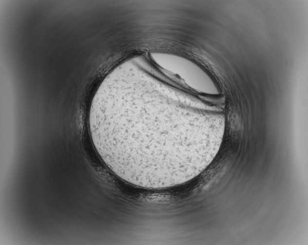 X0000096220546200802151524