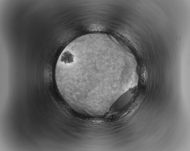 X0000096220547200802151524