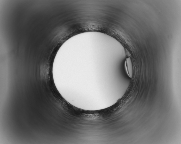 X0000096220548200802151524