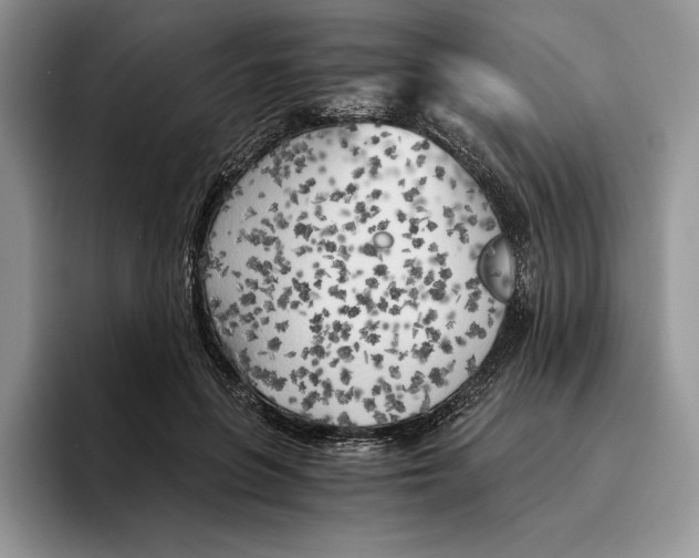 X0000096220551200802151524