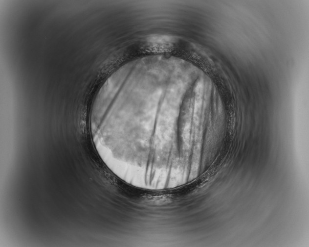 X0000096220553200802151524