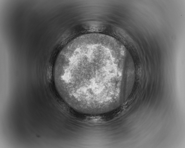 X0000096220554200802151524