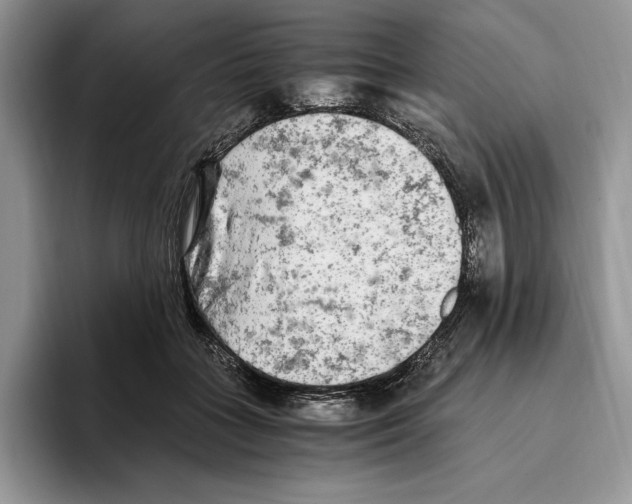 X0000096220555200802151524