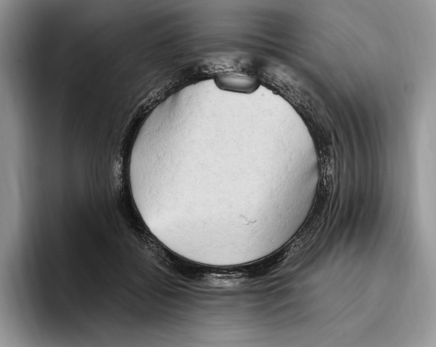 X0000096220556200802151524