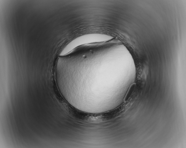 X0000096220560200802151524