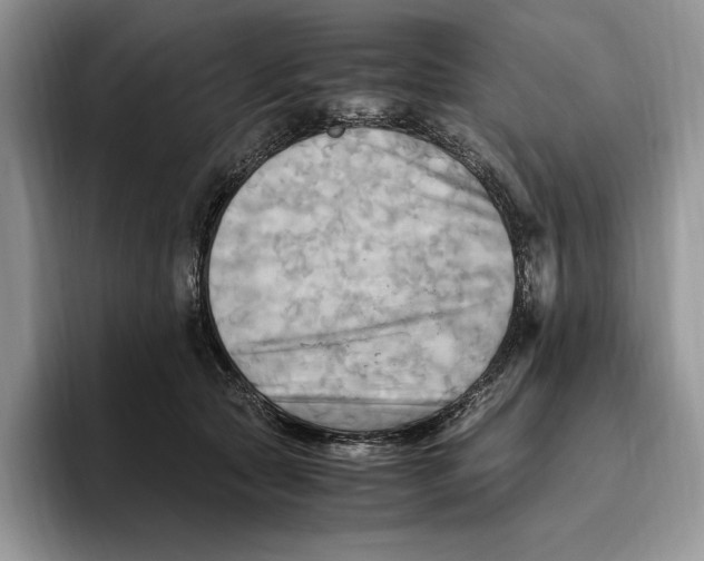 X0000096220561200802151524