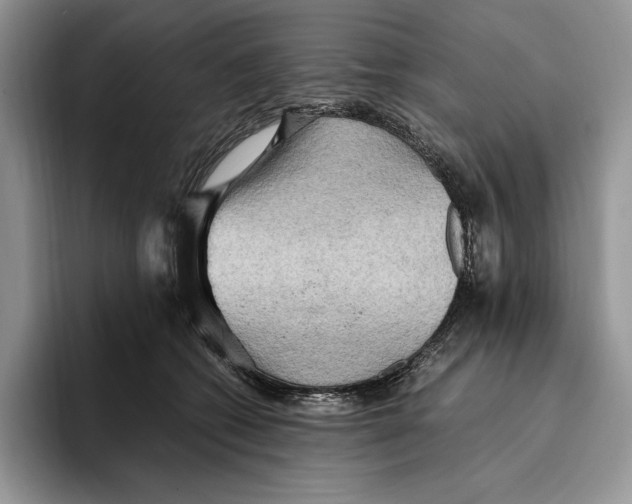 X0000096220562200802151524