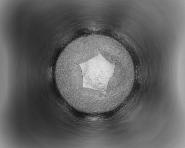 X0000096220563200802151524