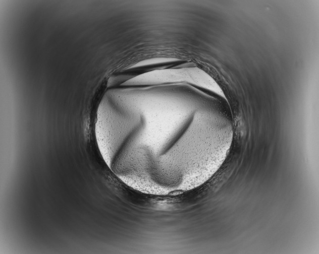 X0000096220564200802151524