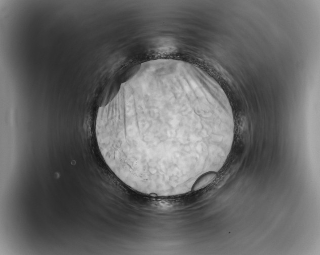 X0000096220565200802151524