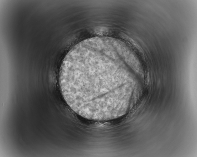 X0000096220569200802151524