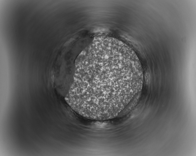 X0000096220570200802151524