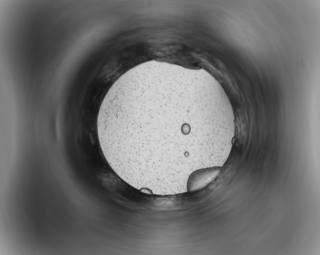 X0000096220574200802151524