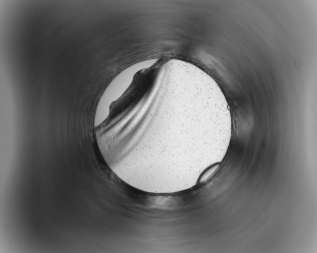 X0000096220575200802151524