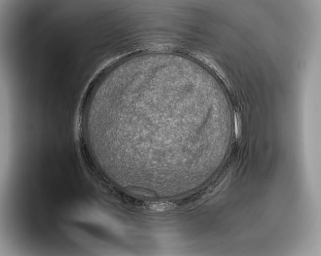 X0000096220579200802151524