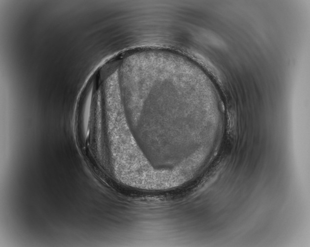 X0000096220580200802151524