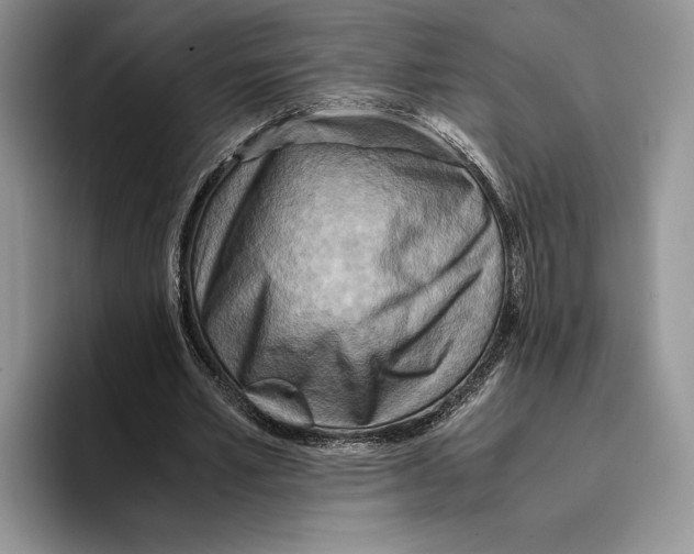 X0000096220581200802151524