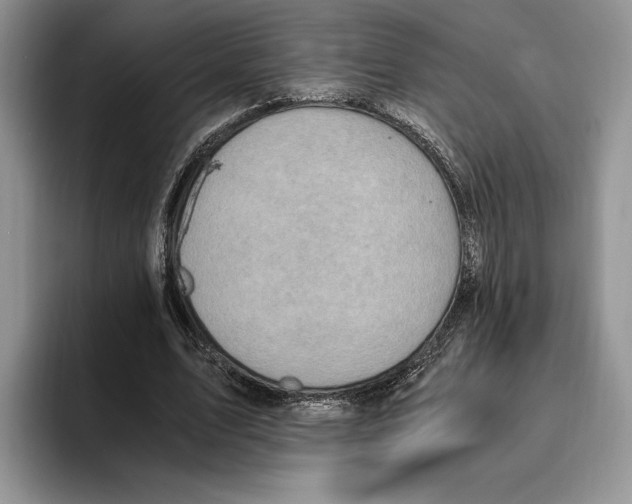 X0000096220583200802151524